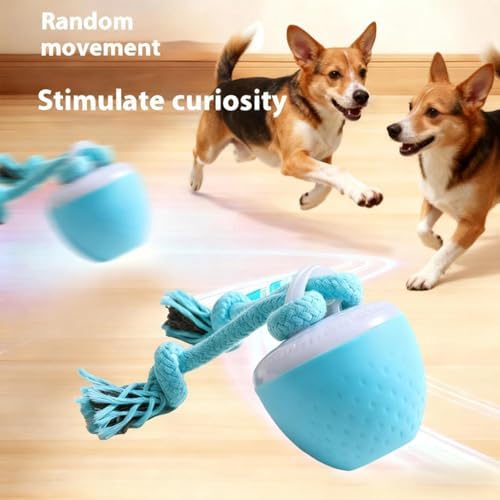 Interactive Dog Ball Toy with Birdsong & Rope, Automatic Moving Dog Toy