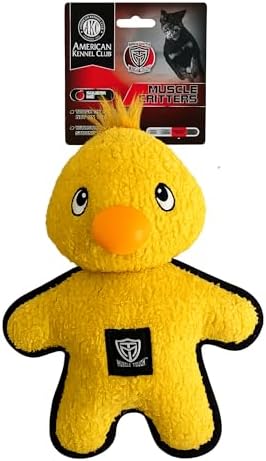 American Kennel Club Plush Dog Toy with Squeaker for Moderate Chewers, Soft Stuffed Dog Toy for Tugging, Fetch & Interactive Play, Gentle on Teeth