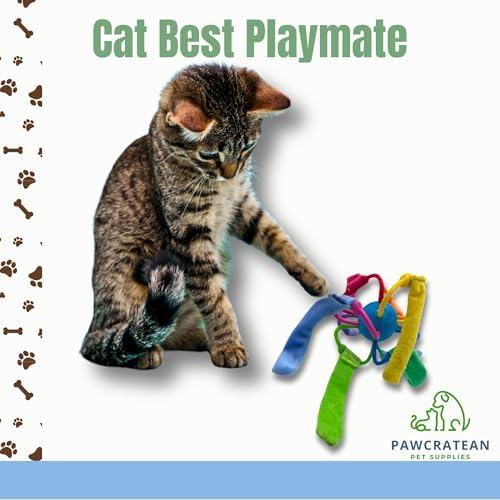Catnip Sepak Takraw Cat Toy with Crackle Paper Colorful Self-Entertainment Durable Chew Toy