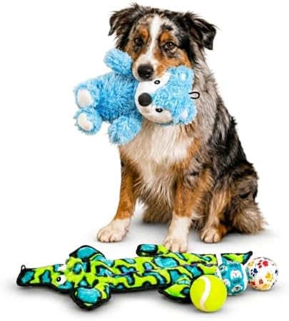 5-Piece Dog Toy Set – Tough Alligator Tug Toy, Plush Hedgehog with Internal Spiky Ball & Tennis Balls – Interactive Toys for Teething, Fetch & Training – Gifts for All Dog Sizes