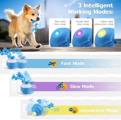 The Chase Buddy Dog Boredom Stimulating Toy 2025 Smart Pet Puppy Ball with Ropes Interactive Self Play Moving Dogs Balls Automatic Electric Active Rolling Ball Jumping Bouncing Dog Balls Gift (Blue)