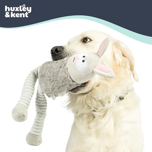 Huxley & Kent Funny Dog Toy w/Squeaker – Power Plush Squeaky Dog Toys for Small, Medium & Large Dogs – Soft Stuffed Animal for Indoor Play & Fetch - Squeak to Crunch - Lankies Binky Bunny, Large