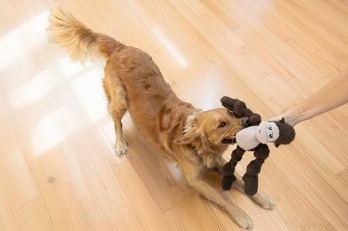 KONG Knots Oversized Dog Toy - Large/X-Large - with Inner Rope Skeleton (Frog/Monkey Combo)