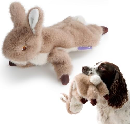 Fuzzwoof No-Stuffing Bunny Squeaky Dog Toy, Cute Plush Puppy Teething Toy
