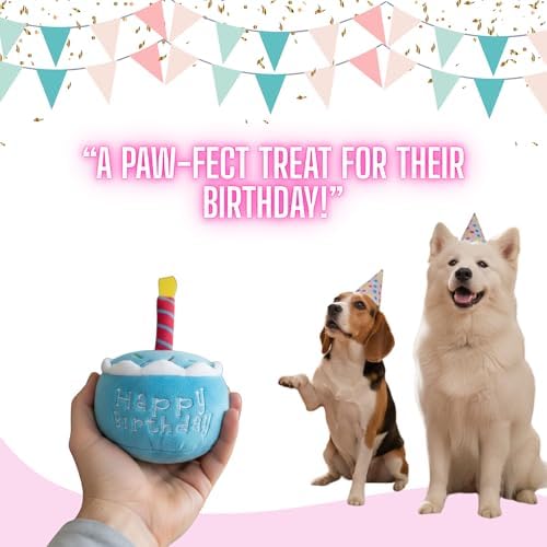 Glow Pups Dog Birthday Cake Plush Toy, Squeaky, Promotes Mental Stimulation & Interactive Play, Easy to Clean, Soft Chewable Squeaky Dog Toys for Any Celebrations, Blue