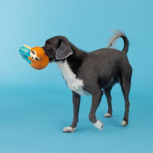 Fringe Studio Dog Toy, Donut Worry About A Thing, Latex, Pet Shop Collection (366009)