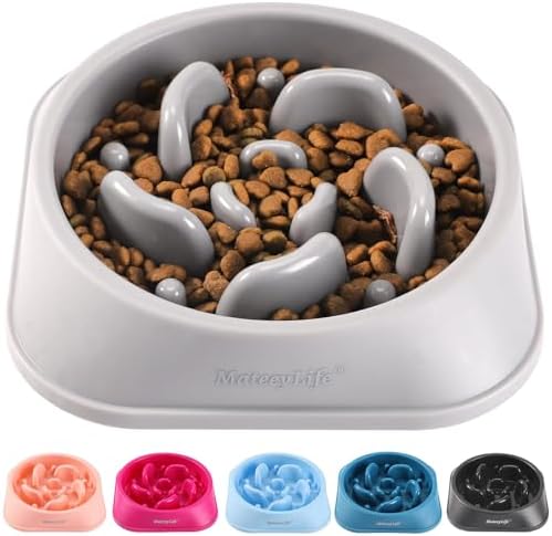 MateeyLife 1-Pack Slow Feeder Dog Bowls, 2 Cups, Dog Puzzle Feeder Bowl