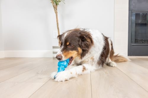 Chuckit! Bones Glow Treat Fish Puzzle Dog Toy, Large, Blue Glow‑in‑the‑Dark, Salmon‑Scented Fish‑Bone Shaped Chew & Treat Puzzle Toy for Dogs 60–100 lb – Fetch Toy with Interior Stuffing – Pack of 1