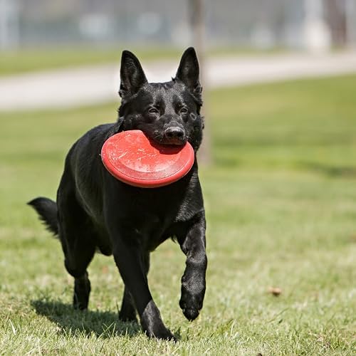 KONG Flyer, Natural Rubber Flying Disc Fetch Toy, for Medium/Large Dogs