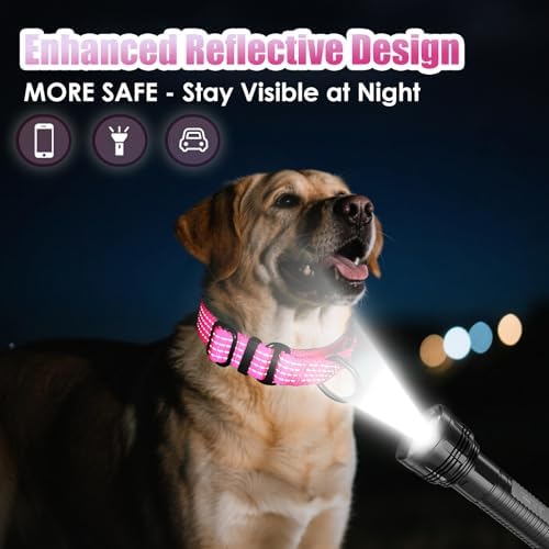 Martingale Dog Collar, Reflective No Pull with Buckle, Pink, L