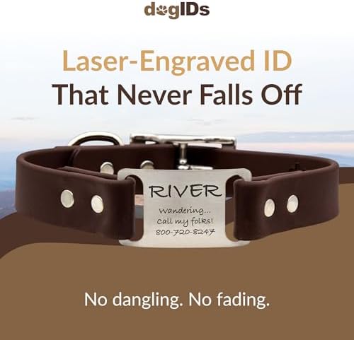 dogIDs Personalized Dog Collar – ScruffTag Custom Waterproof Biothane Dog Collar with Laser-Engraved Name, Durable & Odor-Resistant – USA Made | Brown, 1 in x 20 in (Fits Neck Sizes 18-22 in)