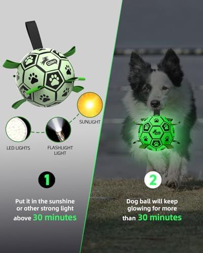 QDAN Premium Dog Ball, Glow in The Dark Dog Toys, Light Up Soccer Ball for Dogs, Outdoor Dog Toys, Doggy Water Toy, Puppy Birthday Gifts for Small Medium (6 Inch)