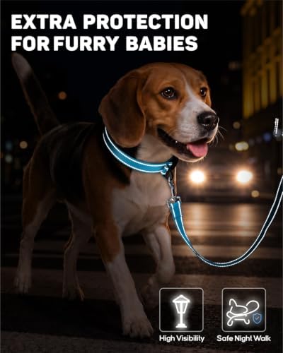 Padded Dog Collar with Waterproof Holder Compatible with Airtag