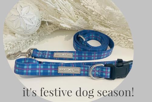 Lucky Love Dog Martingale Collar for Large Dogs No Slip – Scotty, Large