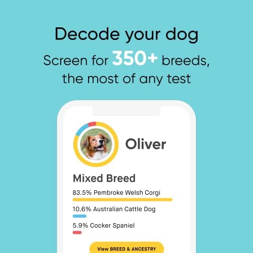 Embark Breed Identification Dog DNA Test & Dog Age Test Bundle - Discover Breed, Ancestry, Relatives, and Birthday