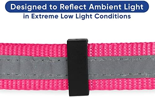 Pawtitas Pink Chain Martingale Dog Collar, Large