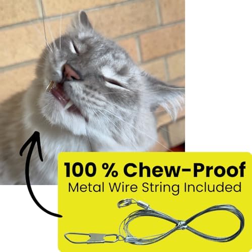 Cat Toy String Replacement 3-Pack - Chew Proof Metal Wire, Cat Wand String Replacement Variety Pack, Official Cat Toy Refill Strings for Forever Stick Cat Toy Wand, Transparent Fishing Line Nylon Cord