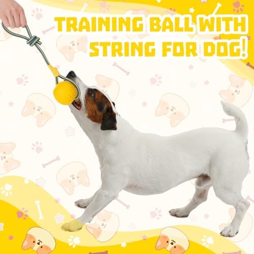 Hsei 2 Pcs 2.8" Dog Rope Toy Ball on Rope Fetch and Tug of War Toy for Dog