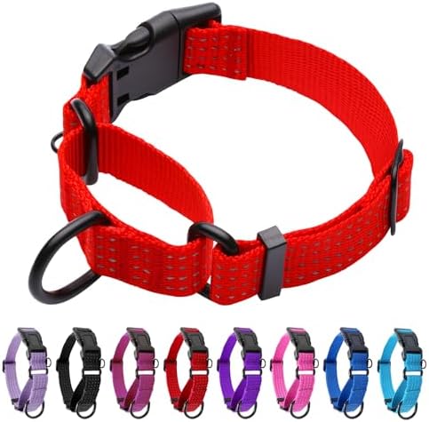 Martingale Dog Collar, Reflective No Pull with Buckle, Red, L