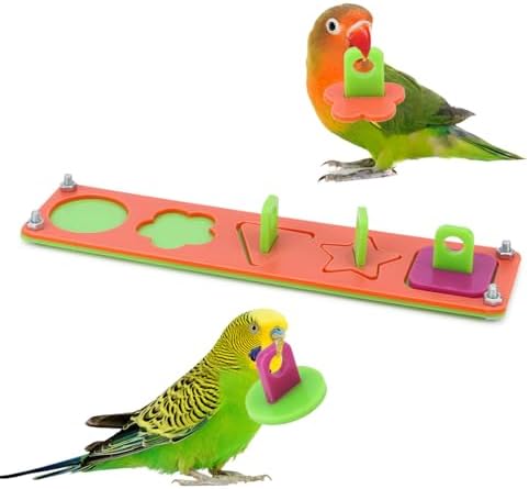 Hypeety Bird Intelligence Training Toys Parrot Learning Block Puzzles