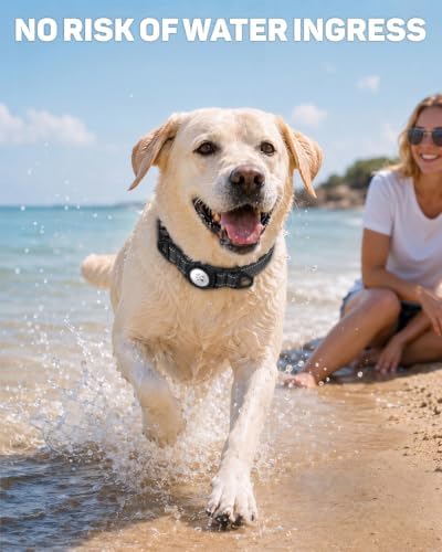Padded Dog Collar with Waterproof Holder Compatible with Airtag