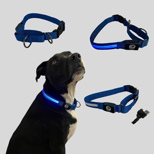 Light-Up Martingale Training Adjustable Dog Puppy Collar - REMIPET - Waterproof, LED Illuminated, USB Rechargeable, Reflective Safety, Durable, Nylon, Gift (Blue, Large)