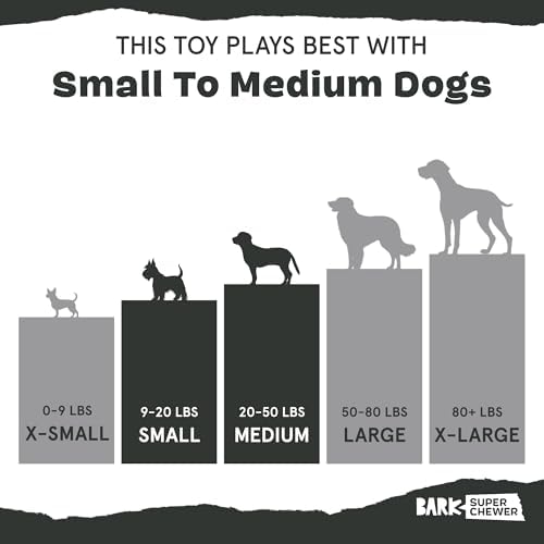 BarkBox Squash Dog Toy