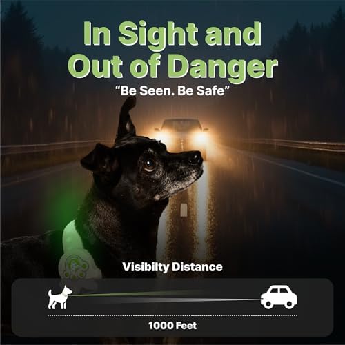 Rechargeable LED Dog Collar, Adjustable Size Light Up Collar with 360° Halo Effect, Ultra-Bright RGB Light, Weather-Resistant Design, Flash Mode, & USB-C Charging for Small, Medium & Large Dogs