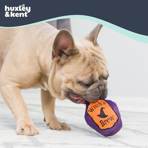 Huxley & Kent Tiny Tuff Plush Dog Toy, Witch's Harvest (2 Pack)
