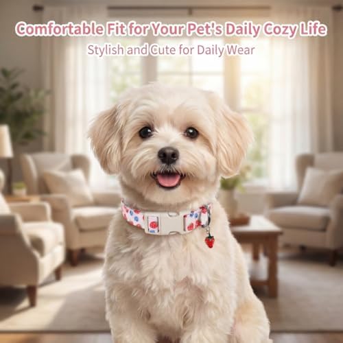 Pink Dog Collar, Female Dog Collar for Large Dogs with Strawberry, Cherry and Blueberry Print, Spring Summer Collar Made of Durable Soft Fabric, L