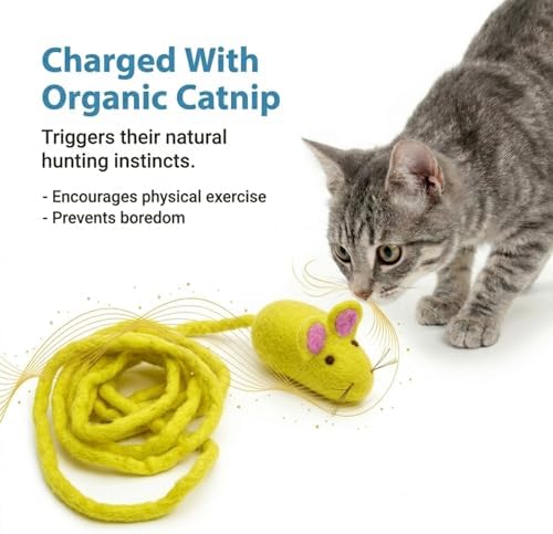 Glaciart One Felt Mouse Cat Toy – Soft Fuzzy Enrichment 100% Natural Wool - Interactive Catnip Play Cat Toy Set - Safe for Pets, Non-AZO Colored Dyes - 100” Long