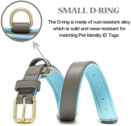Leather Dog Collar for Small Medium Large Dogs Soft Waterproof Padded Puppy Collars