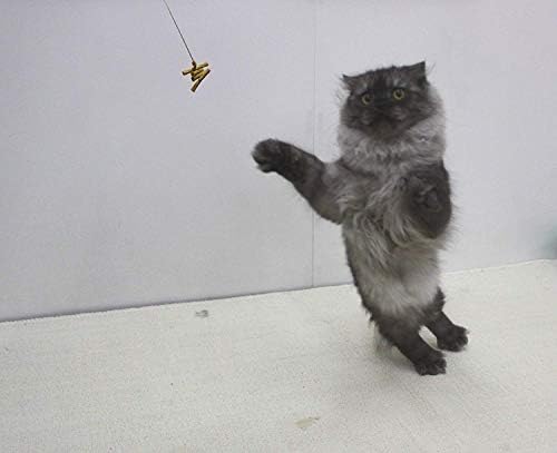 Cat Dancer 101 Cat Dancer Interactive Cat Toy, 3 Pack