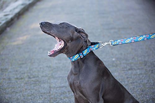 RC Pets 1-1/2 Inch All Webbing Martingale Training Dog Collar, Small, Comic Sounds