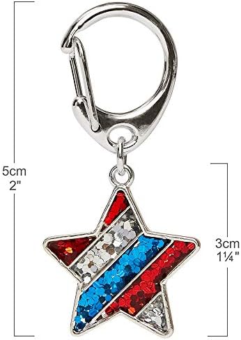 Blueberry Pet American Flag Accessory Set of Collar Accessory Hair Clip and Pedant for Dogs & Cats, USA Flag Color Floral and Star Tag