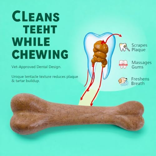 MECOOL Durable Nylon Dog Chew Toy – Classic Bone Shape, Bacon Flavored, Designed for Aggressive Chewers, Medium/Large Dogs, Promotes Dental Health & Fresh Breath