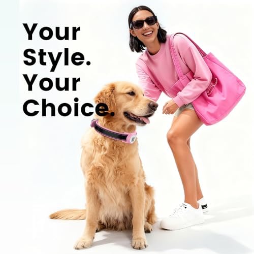 Leather Dog Collar with AirTag Compatible Holder & QR ID, Pink, L
