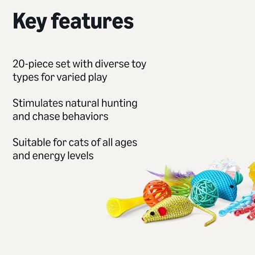 Amazon Basics Cat Toy Set, 20 Piece Variety Pack with Teaser, Ball, Feather, Spring