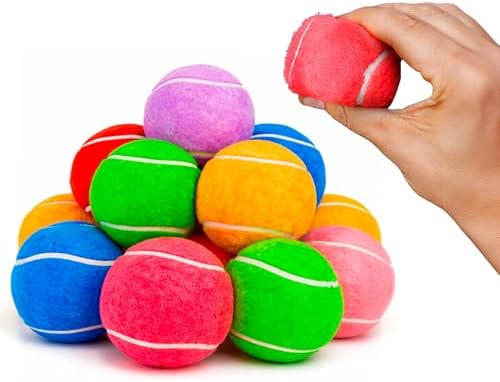 BundleBee Petite Paws Squeaky Tennis Balls for Dogs 2.5 Inch - 12 Pack Dog Toy Balls - Non-Toxic Rubber Squeaky Balls for Medium Large Dogs, Fetch Training Toys, Colorful Bouncy Dog Ball