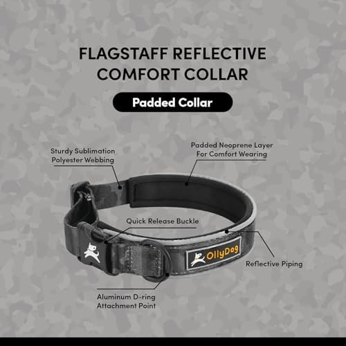 OllyDog Flagstaff Reflective Comfort Collar, Neoprene Padded Dog Collar, Reflective Trims for Night Runs, Extra Comfort for Active Dogs (Small, Dream Camo)