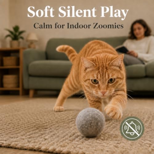Wool Cat Toys, Felt Toy Balls, Gray, 6PCS