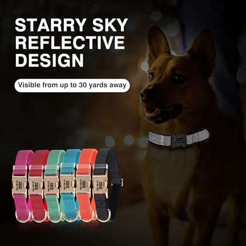 Personalized Reflective Nylon Dog Collar with Name, Green