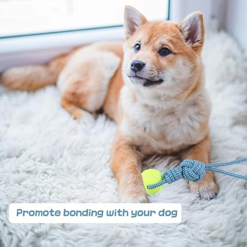 Dog Rope Toy Tug Outdoor Puppy Interactive Dog Toy 1 Knot with Tennis Ball