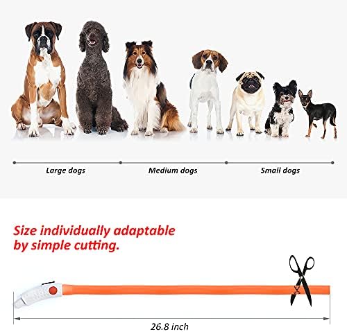 BSEEN Light Up Dog Collar, Glowing LED Dog Collar Rechargeable Cuttable Lighted Puppy Collar Safety Dog Lights Makes Your Beloved Dogs Be Seen at Night(Orange)