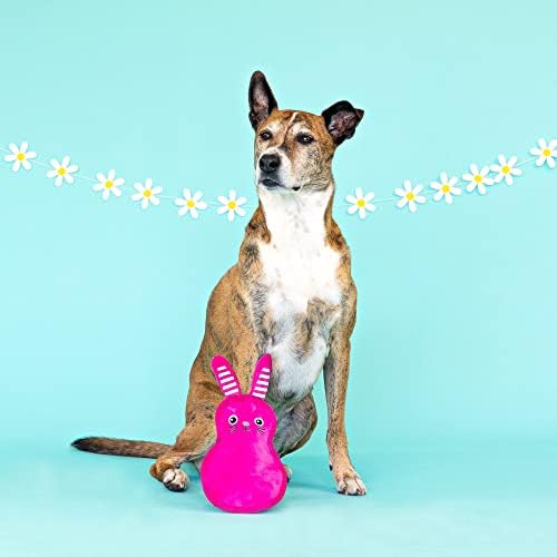 Fringe Studio Durable Plush Dog Toy, Miss Cottontail, Pet Shop Collection (729095)