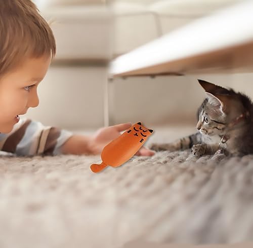Soft Indoor Cat Toys Self Play Interactive Pillows Catnip Filled 5PCS Plush Kitten Teething Set Cute Kitty Chew Bite Resistant Cartoon Mouse Pet Supplies Gifts