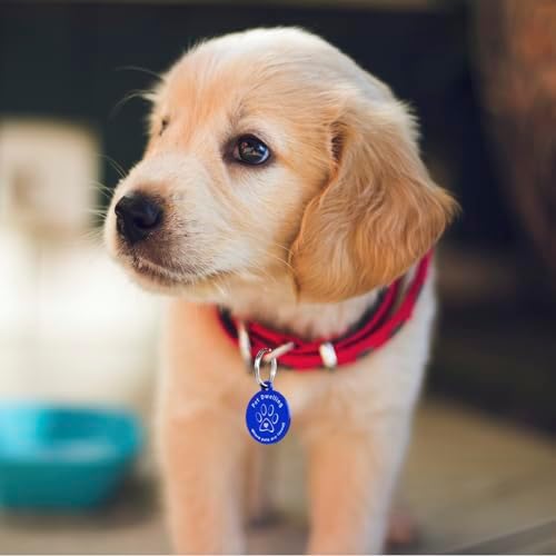Pet Dwelling Aluminum QR Pet ID Tag – Smart Dog & Cat Tags with Free Personalized Online Profile, Instant Scan Alerts & AI-Powered Insights (Round Blue)