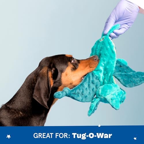 BARKBOX Best of BarkBox Interactive Plush Dog Toy Bundle