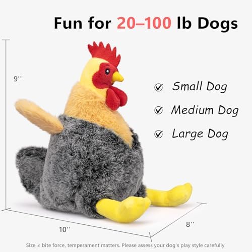 Squeaky Stuffed Dog Toys, Plush Chicken Toy for Small, Medium & Large Dogs