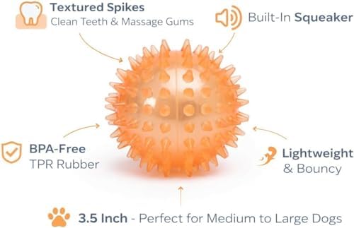 Squeaky Spiky Dog Ball for Teeth Cleaning & Gum Massage 3.5 Inch Medium Large Dogs Orange | Spiny TPR Rubber Chew Toy for Fetch Play Interactive Bouncy Dental Ball Durable BPA Free Nontoxic Floats